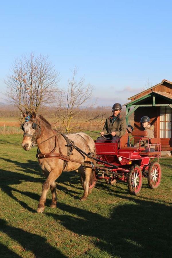 Ferme Equestre Les Chevaliers Hotel Penol Exterior photo